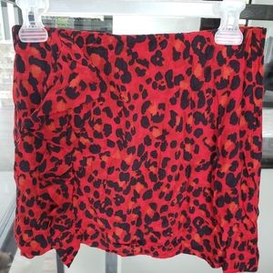 Zara Trafaluc Collection